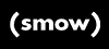 smow D GmbH