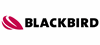 Blackbird Robotersysteme GmbH
