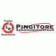 Pingitore Sanierung GmbH